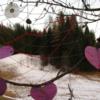 cuore 03 