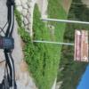 foto mtb 005 