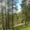 foto mtb 011 