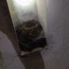 IMG-20170628-WA0022 
