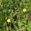 IMG-20220516-WA0008 