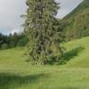 IMG-20220516-WA0020 