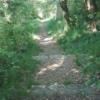 IMG_20220515_091520 