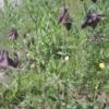 IMG_20220515_115553_BURST005 