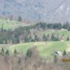 IMG_8190 