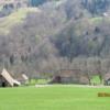IMG_8195 