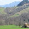 IMG_8196 