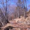 land 3 
